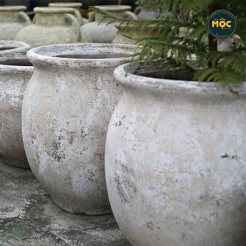 4026 Men Mỹ Thuật Hoa Tulip 65x65x75 M60